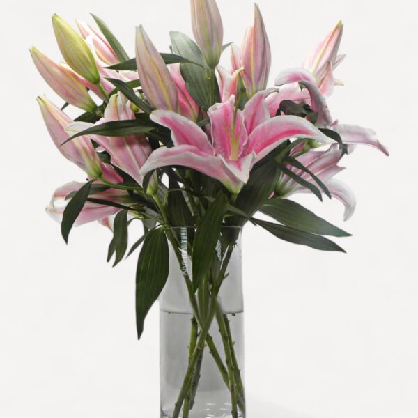 Simple Pink Lilies