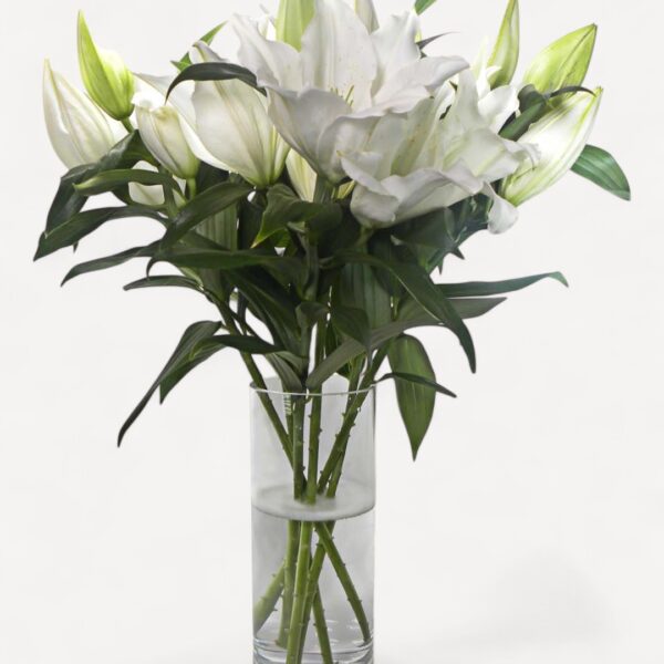 Simple White Lilies