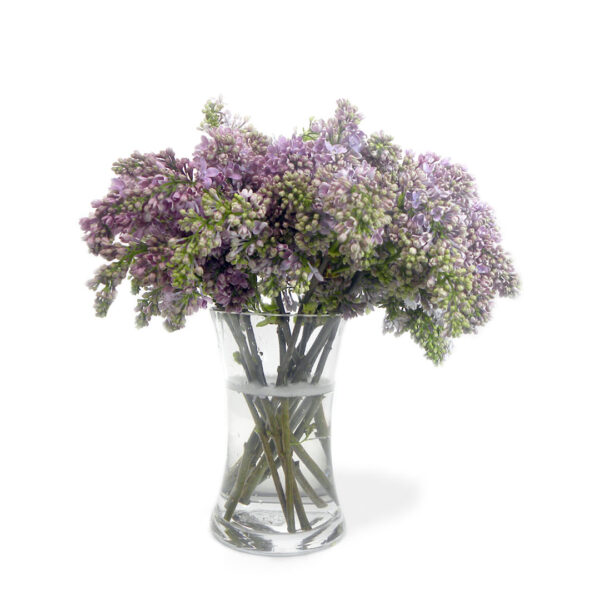 Lovely Lilacs